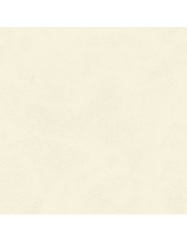 Century Calcio 60 X 60 R